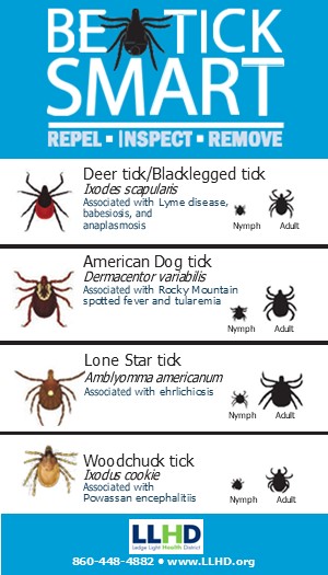 tick-ID-card-2024-page-1